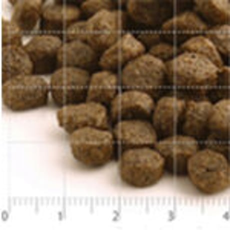 フィッシュ4ドッグ ファイネスト パピー 1.5kg