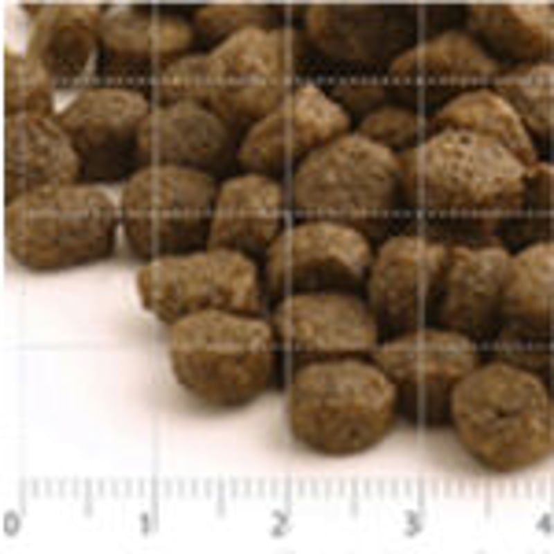 フィッシュ4ドッグ ファイネスト オーシャンホワイトフィッシュ 6kg