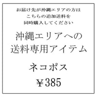 沖縄エリア専用追加送料アイテム　ネコポス