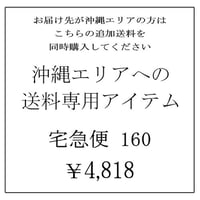沖縄エリア専用追加送料アイテム　宅急便160