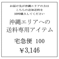 沖縄エリア専用追加送料アイテム　宅急便100