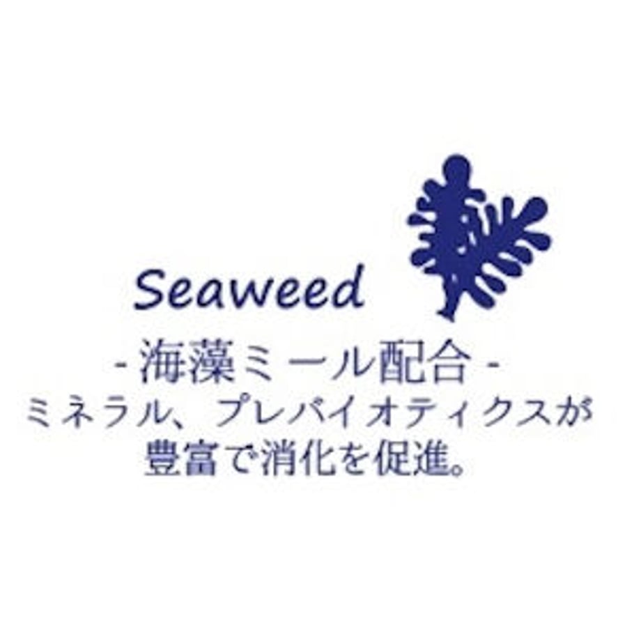 645a43e2d87efe005edd965c