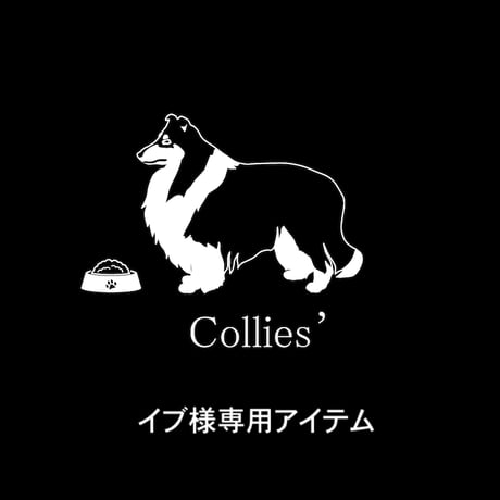 イブ様専用アイテム