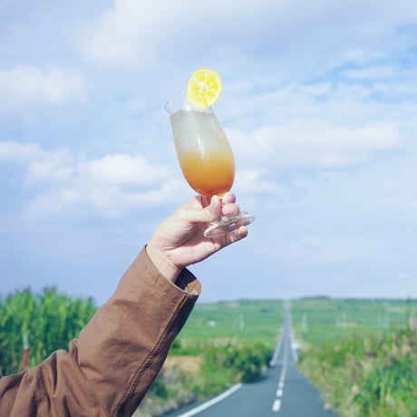 しっかり飲みくらべ2本セット
