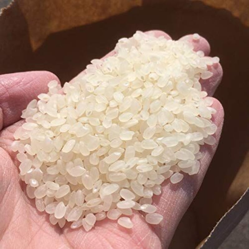 令和7年産 コシヒカリ 1等米100% ご注文時精米 白米10kg 圏内無料配達 令和7年新米 丹波篠山産コシヒカリ10kg(5kg×2袋）│じっくり精米！米