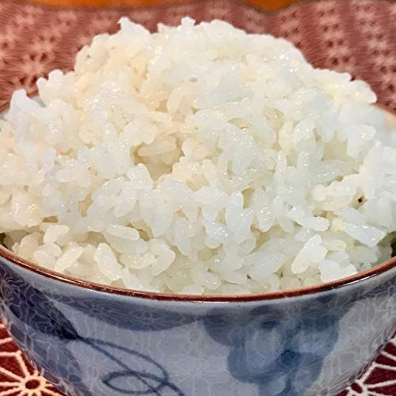 令和7年度産 新潟県産 従来コシヒカリ 100% 極レア 精米 白米 5Kg 産地