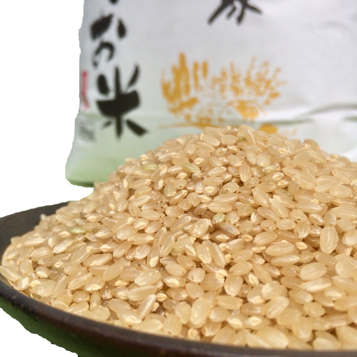 令和7年度産 新潟県産 従来コシヒカリ 100% 極レア 玄米 10Kg 産地直送