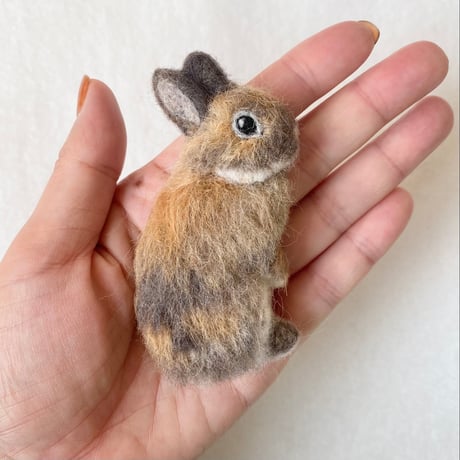 ［みかんくん＆ぽんずちゃん専用］