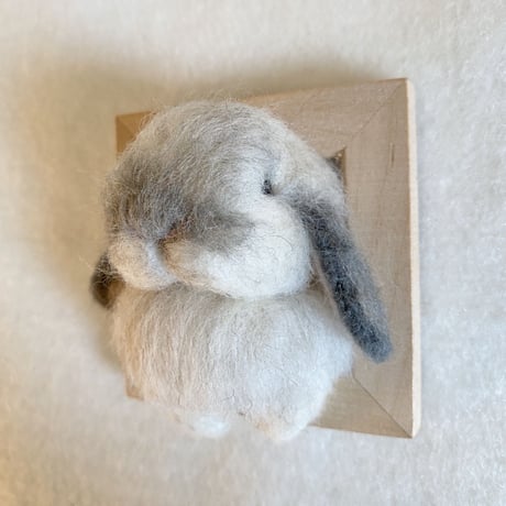 ［モグちゃん専用］