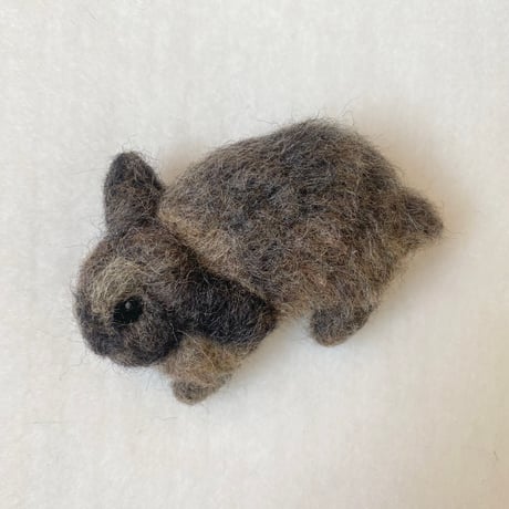［クッキーちゃん専用］