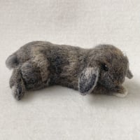 ［クッキーちゃん専用］