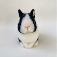 ダッチの羊毛うさぎ