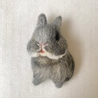 ［ごまDさん専用］