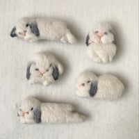 ［フラッペちゃん専用］
