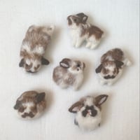 ［うさ茶々ちゃん専用］