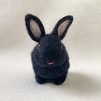 ［うたちゃん専用］