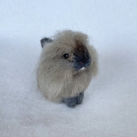 ［モコちゃん専用］
