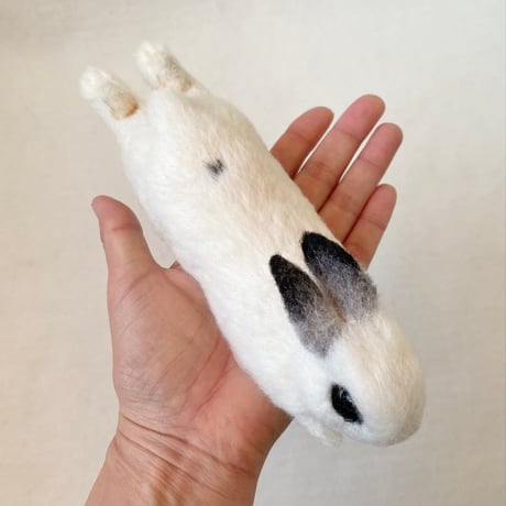 ［蒼ちゃん専用］