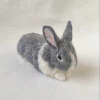 ［ミミくん専用］