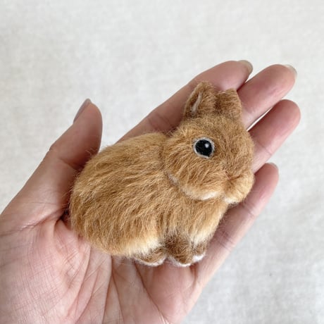 ［くぅちゃん専用］