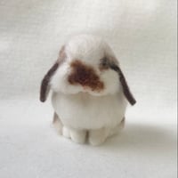 ［ぷりんちゃん専用］