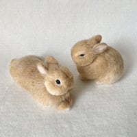 ［胡太郎くん専用］