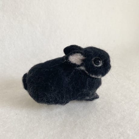 ［ココちゃん専用］
