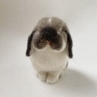 ［モコスケくん専用］
