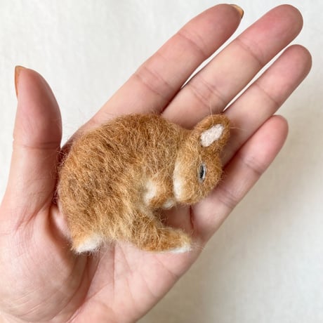 ［みかんくん＆ぽんずちゃん専用］