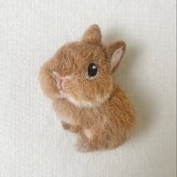 ［モートちゃん専用］