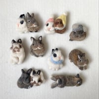 ［pipidiary_bunny様専用］