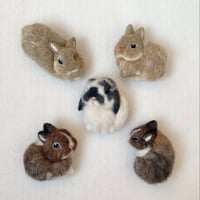 ［だんごちゃん&おはぎちゃん＆あられちゃん専用］