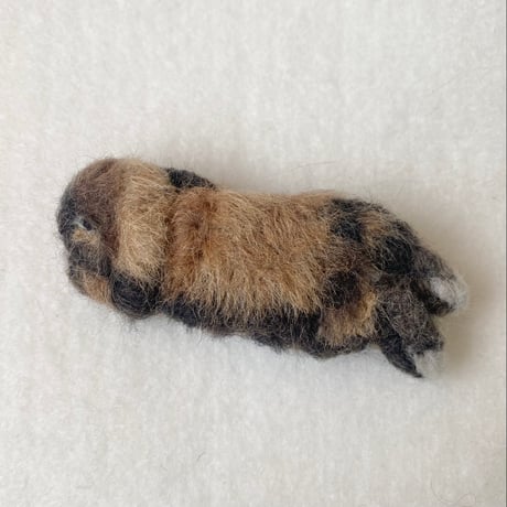 ［こっぺちゃん専用］