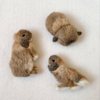 ［ロッティくん専用］