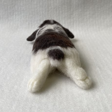 ［たえこちゃん専用］