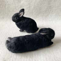 ［ころちゃん専用］