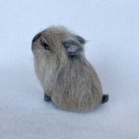 ［モコちゃん専用］