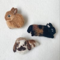 ［くるみちゃん＆おせちちゃん＆まろちゃん専用］