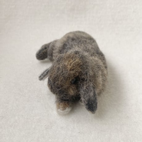 ［クッキーちゃん専用］