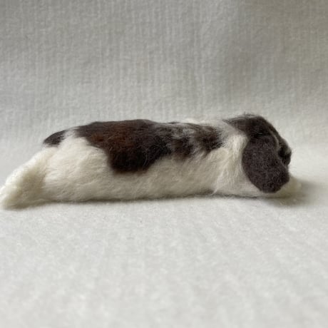 ［たえこちゃん専用］