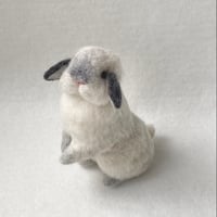 ［ぽちゃこちゃん専用］