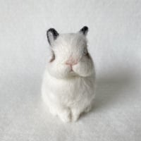 ［アトムくん専用］
