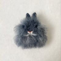 ［ホコリちゃん専用］