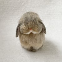 ［きなこちゃん専用］