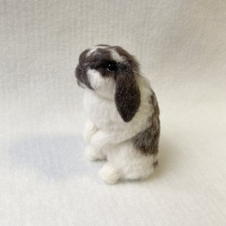 ［たえこちゃん専用］