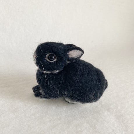 ［ココちゃん専用］