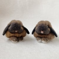 ［海ちゃん専用］