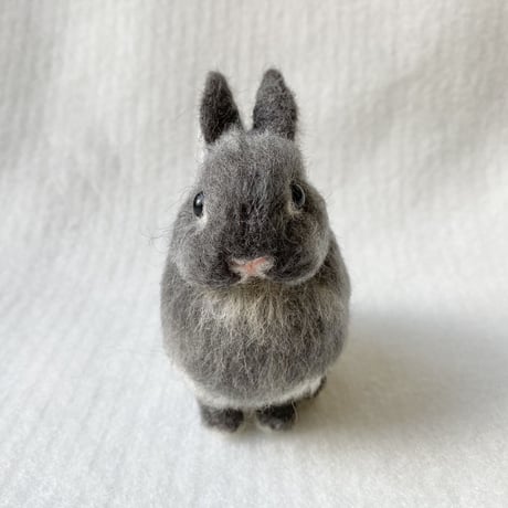 ［ロッシさん専用］