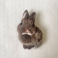 ［むぎちゃん専用］