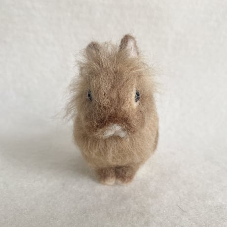 ［こはくくん専用］